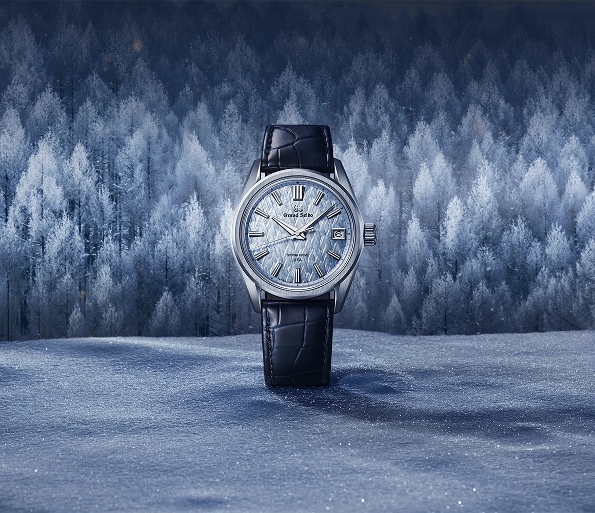 Montre photographiée devant un paysage de montagnes